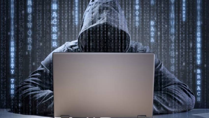 虹口区小程序定制开发：.NET的利刃与暗礁